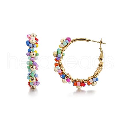 201 Stainless Steel Acrylic Hoop Earrings FS-WG443EA-05-1