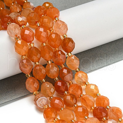 Natural Orange Botswana Agate Beads Strands G-N342-45-1