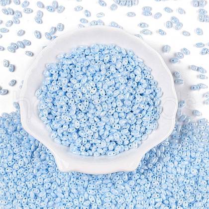 Opaque Colours Luster Glass Seed Beads SEED-T006-02B-1