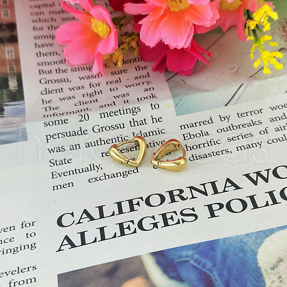 Stylish Stainless Steel Triangle Hoop Earrings IQ2108-2-1