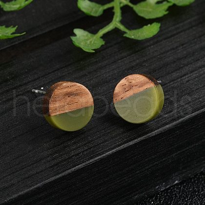 Opaque Resin & Walnut Wood Stud Earrings X-EJEW-N017-008-B08-1