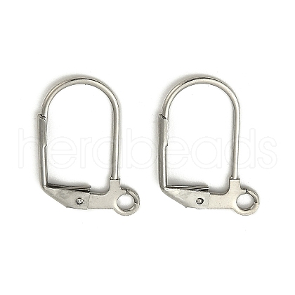 Tarnish Resistant 304 Stainless Steel Leverback Earring Findings STAS-D448-040P-1