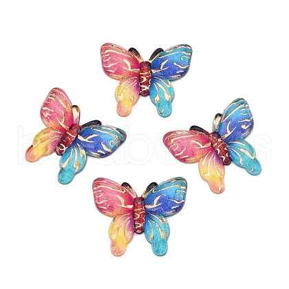 Printed Translucent Acrylic  Pendants OACR-T028-19B-1