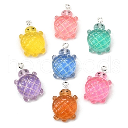 Transparent Resin Pendants FIND-U030-02P-1