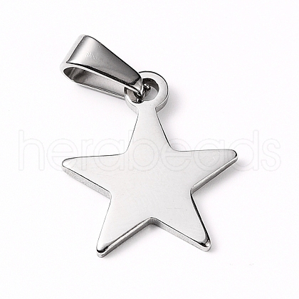 Tarnish Resistant 304 Stainless Steel Pendants STAS-I127-010P-1