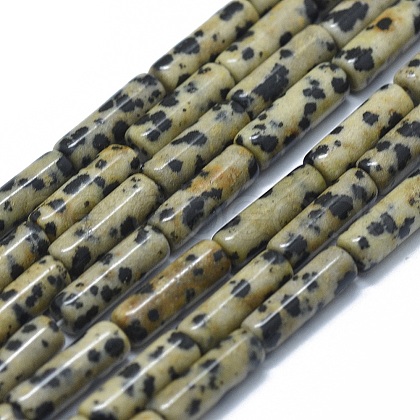 Natural Dalmatian Jasper Beads Strands G-F631-D23-1