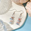 Natural Aquamarine & Pink Opal & Howlite Dangle Earrings EJEW-JE06127-03-2