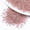 Glass Seed Beads SEED-S042-04A-04-1