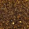 Glass Seed Beads SEED-L011-02B-05-3
