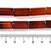 Natural Red Agate Beads Strands G-NH0019-A03-02-4