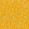 MIYUKI Delica Beads SEED-J020-DB1562-3