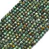 Natural African Turquoise(Jasper) Beads Strands G-A260-A16-01-2