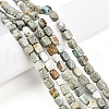 Natural Variscite Beads Strands G-N346-04A-11-1