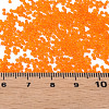 15/0 Transparent Czech Glass Seed Beads SEED-N004-004-32-6