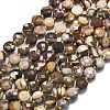 Natural Zebra Jasper Beads Strands G-K389-B69-01-2