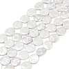 Electroplate Porcelain Imitation Pearl Beads Strands BSHE-Z009-02A-2