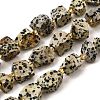 Raw Rough Natural Dalmatian Jasper Beads Strands G-Z087-A01-2