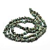 Natural African Turquoise(Jasper) Chip Beads Strands X-G-E271-59-2