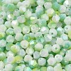 Baking Painted Glass Seed Beads SEED-C004-03E-3