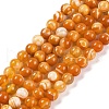 Natural Striped Agate/Banded Agate Beads Strands G-H037-A02-01-2