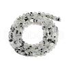 Natural Sesame Jasper Beads Strands G-M403-A40-01-3