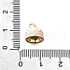 Zinc Alloy Enamel Charms FIND-U029-01G-10-3