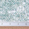 MIYUKI Round Rocailles Beads X-SEED-G007-RR0263-2