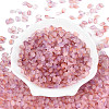 Frosted Glass Seed Beads SEED-N008-05C-2