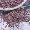 MIYUKI Delica Beads SEED-X0054-DB0728-1