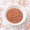 MIYUKI Delica Beads SEED-J020-DB2063-2