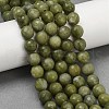 Natural TaiWan Jade Beads Strands G-K310-A23-10mm-01-2