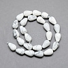 Natural Howlite Gemstone Bead Strands G-T004-19-2