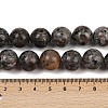 Natural Larvikite Beads Strands G-F792-C03-03-5