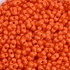 Baking Paint Glass Seed Beads SEED-K010-A10-2