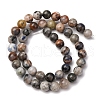 Natural Sodalite Beads Strands G-F591-13-01-3