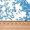 12/0 Transparent Glass Seed Beads SEED-F003-03C-02-4