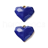 304 Stainless Steel Enamel Pendants STAS-R164-01G-2