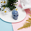 SUNNYCLUE Halloween Dyed & Heated Natural Blue Aventurine Home Decorations DJEW-SC0001-03A-4
