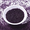 MIYUKI Delica Beads SEED-J020-DB1312-3