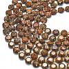 Natural Starburst Jasper Beads Strands G-C116-A136-01-3