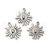 304 Stainless Steel Pendants STAS-A080-15P-1