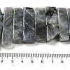 Natural Labradorite Beads Strands G-L551B-06-4