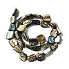Natural Abalone Shell/Paua Shell Beads Strands BSHE-D300-01A-2
