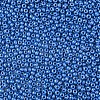 8/0 Czech Opaque Glass Seed Beads SEED-N004-003A-11-4