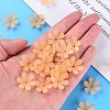 Transparent Acrylic Beads X1-MACR-S373-107-D01-6