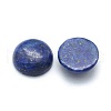 Natural Lapis Lazuli Cabochons X-G-P393-R11-14mm-2