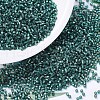 MIYUKI Delica Beads SEED-J020-DB0607-1
