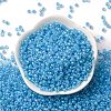 Glass Seed Beads SEED-XCP0001-31-2