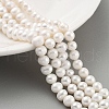 Natural Cultured Freshwater Pearl Beads Strands PEAR-C003-13C-1