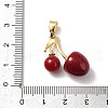 Brass Resin Pendants KK-D383-01G-03-3